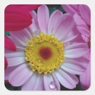 Pink and yellow flower square sticker