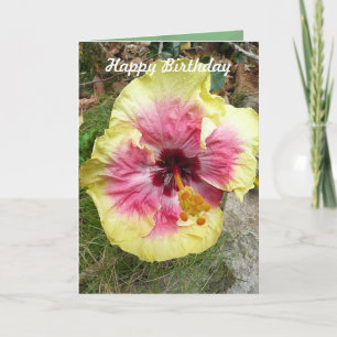 Pink and Yellow Hibiscus Tropical Flower Birthday Card