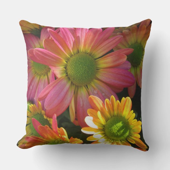 Pink and Yellow Mums Outdoor Accent Pillow (Front)