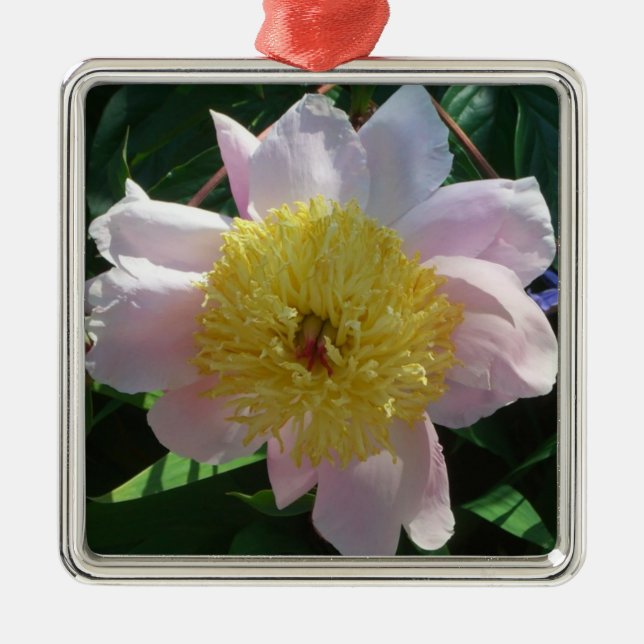 Pink and Yellow Peonies Beautiful Floral Metal Ornament (Front)