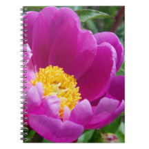 Pink And Yellow Peony Notebook