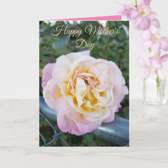 Pink and Yellow Rose Photo Happy Mother's Day Card (Orchid)