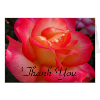 Pink and Yellow Rose Thank You