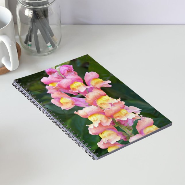 Pink and Yellow Snapdragons Floral Notebook (In Situ)