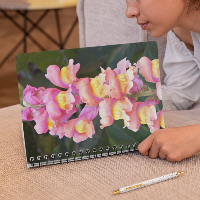 Pink and Yellow Snapdragons Floral Notebook (In Situ)