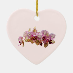Pink and Yellow Striped Orchid Ceramic Ornament