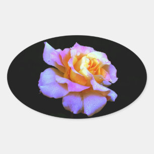 Pink and Yellow Tie Dyed Rose Oval Sticker