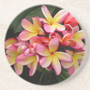 Pink and Yellow Tropical Plumeria Flowers Coaster