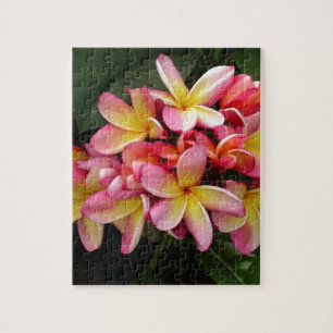 Pink and Yellow Tropical Plumeria Flowers Jigsaw Puzzle