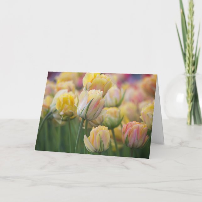 Pink and Yellow Tulips Card (Front)