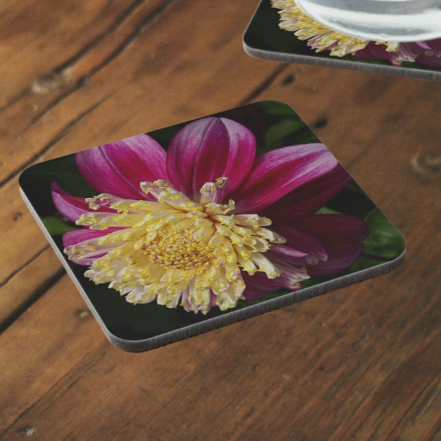 Pink Anemone Dahlia Bloom Floral Coaster (In Situ)