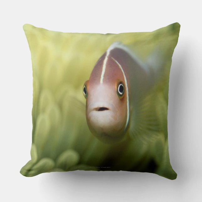 Pink Anemone Fish Cushion (Front)