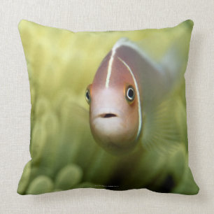 Pink Anemone Fish Cushion