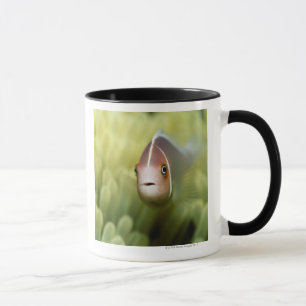 Pink Anemone Fish Mug