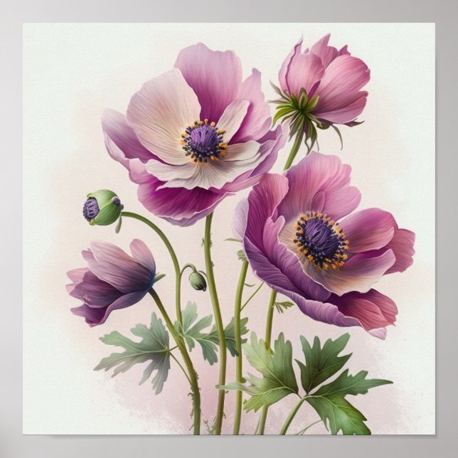 Pink Anemone Flowers Art Print Poster (Front)