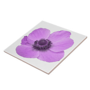 Pink Anemone Tile
