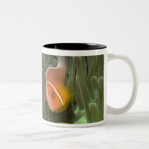 Pink Anemonefish in Magnificant Sea Anemone Two-Tone Coffee Mug