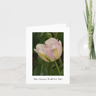 Pink 'Angelique' Tulip Greeting Thank You Card