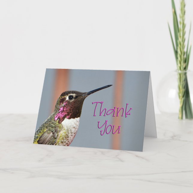 Pink Anna's Hummingbird Thank You Card (Front)