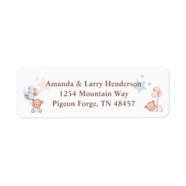 Pink ans Blue Teddy Bear Return Address Label (Front)