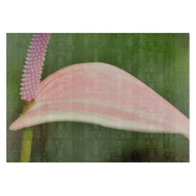 Pink Anthurium Flower Kauai, Hawaii Cutting Board (Front)