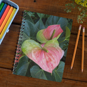 Pink Anthurium Flowers Floral Notebook