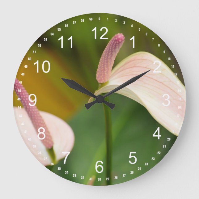 Pink Anthurium Flowers Kauai Hawaii Large Clock (Front)