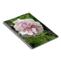Pink Antique Rose Spiral Notebook