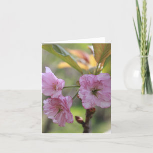 Pink Apple Bloom In Spring Photo for Mum Holiday Card