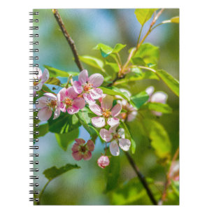 Pink apple blossom flowers notebook