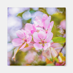 Pink Apple Blossom Magnet