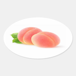 Pink apricots oval sticker