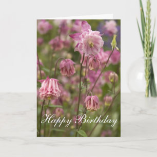 Pink aquilegia ... card