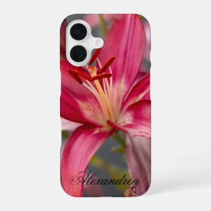 Pink Asiatic Lily – Elegant Flower Photography iPhone 16 Case