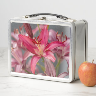 Pink Asiatic Lily, Graceful Bloom Metal Lunch Box