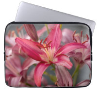 Pink Asiatic Lily, Vibrant Flower Photo
