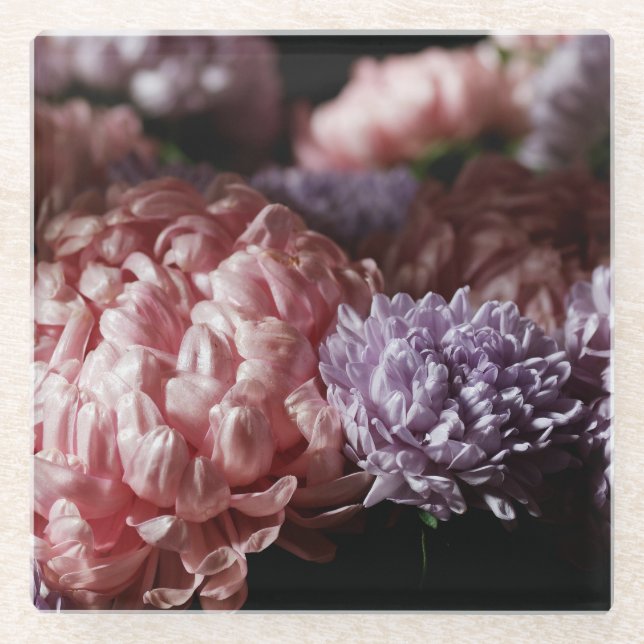 Pink Aster Bouquet: Baroque Lighting. Glass Coaster (Front)