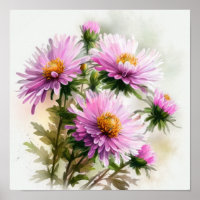 Pink Aster Flower Art Print Poster
