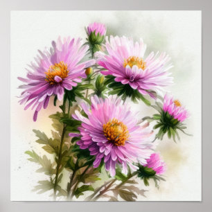 Pink Aster Flower Art Print Poster