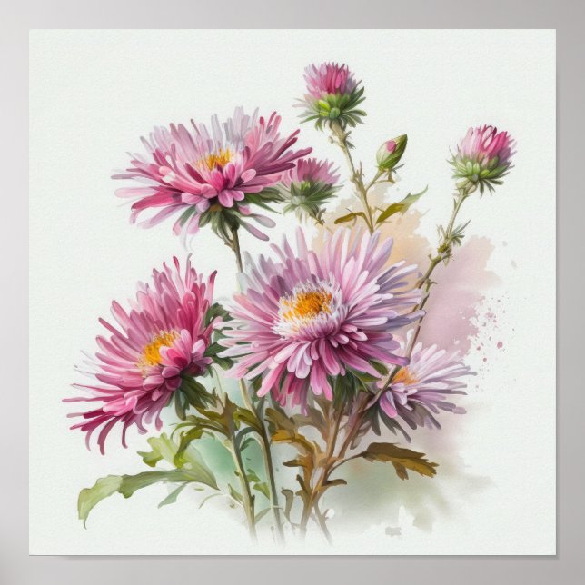 Pink Aster Flower Art Print Poster (Front)