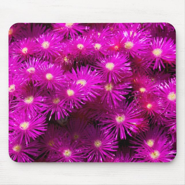 Pink Aster Flowers Mouse Pad (Front)