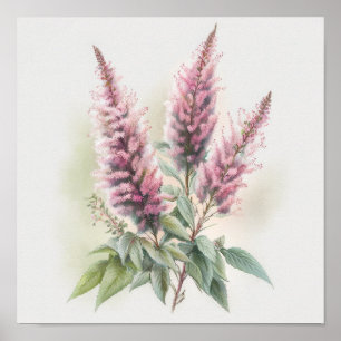 Pink Astilbe Flower Art Print Poster