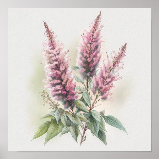 Pink Astilbe Flower Art Print Poster (Front)