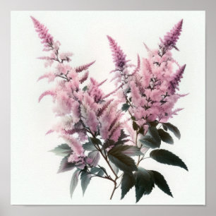 Pink Astilbe Flower Art Print Poster