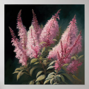 Pink Astilbe Flower Art Print Poster