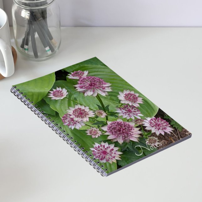 Pink Astrantia Blooms Floral Notebook (In Situ)