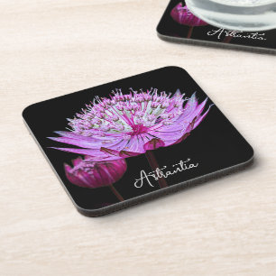 Pink Astrantia Flower on Black Floral Coaster
