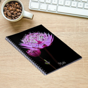 Pink Astrantia Flower on Black Floral Notebook