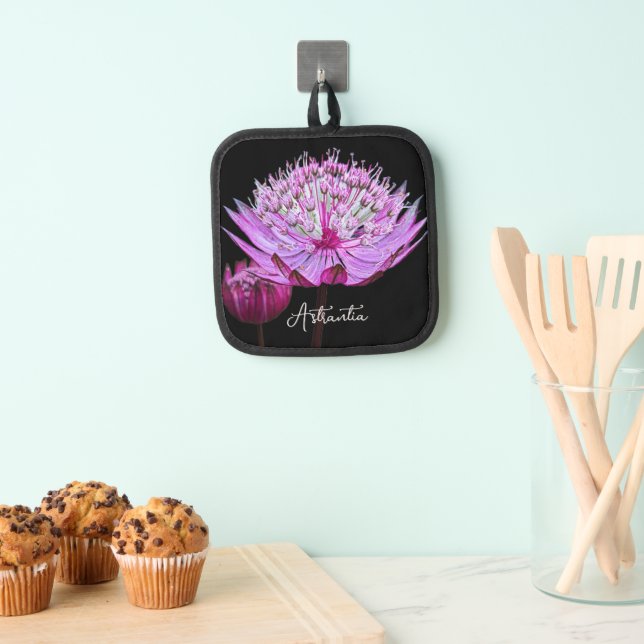 Pink Astrantia Flower on Black Floral Pot Holder (Insitu(Hanging))