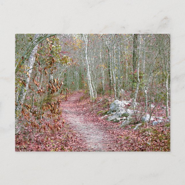 Pink Autumn Leaves Goat Rock Trail Arkansas Postcard (Front)